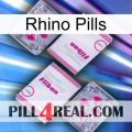 Rhino Pills 33